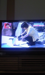 DAIGO�ƃy���y��