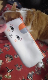 �j�����R�搶�y���P�[�X