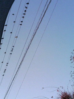 �n�g