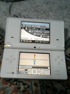DSi